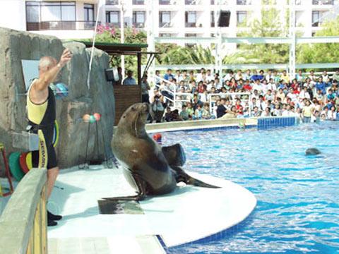 TURKiZ MARİNA KEMER