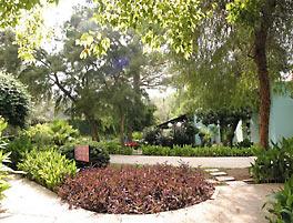 MAJESTY HOTEL CLUB KEMER BEACH