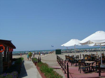 MAJESTY PALM BEACH HOTEL