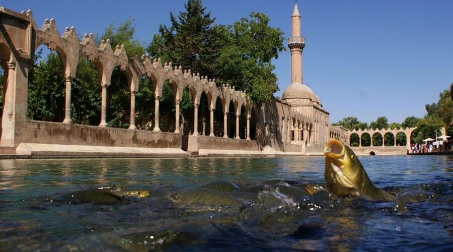 Uçaklı Şanlıurfa - Gaziantep Turu