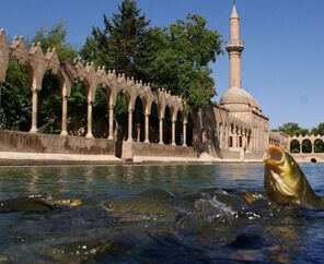 Uçaklı Şanlıurfa - Gaziantep Turu