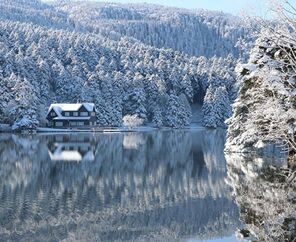 Abant - Gölcük Tabiat Parkları