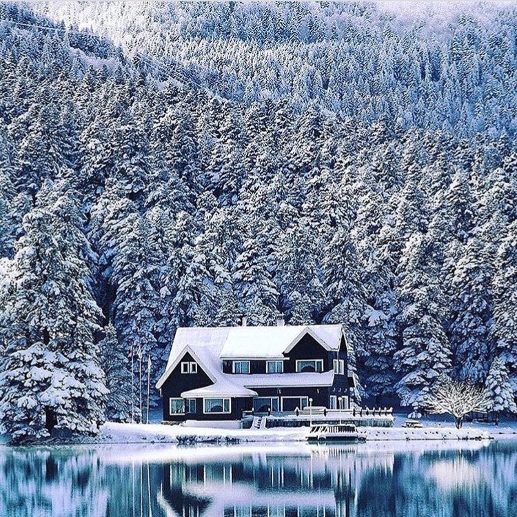 Abant - Gölcük Tabiat Parkları