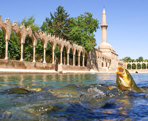 GAP- Mezopotamya Turları