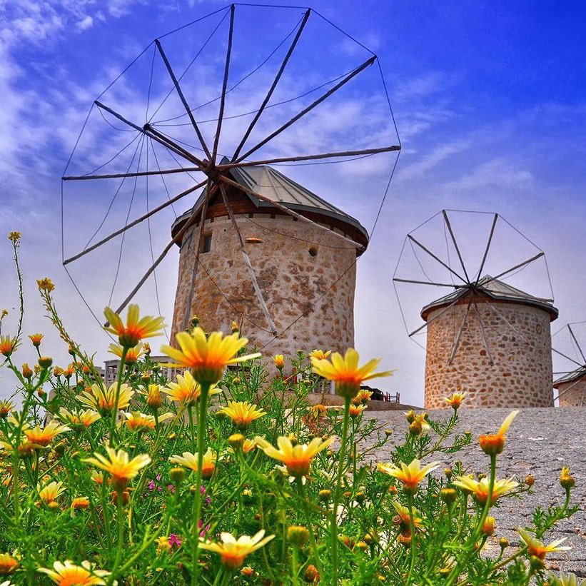 Alaçatı Ot Festivali Turu